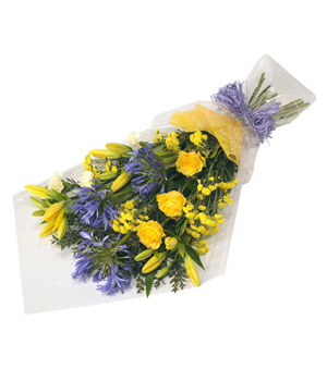 Bold Bouquet in Cello