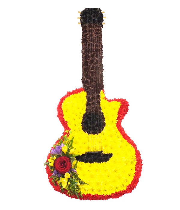 Guitar
