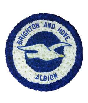 Brighton & Hove Badge