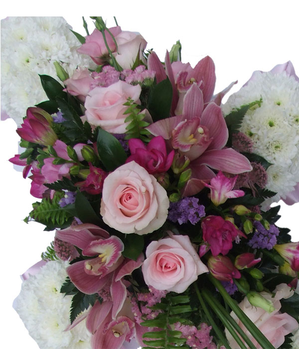 Morning breeze  (Cross)