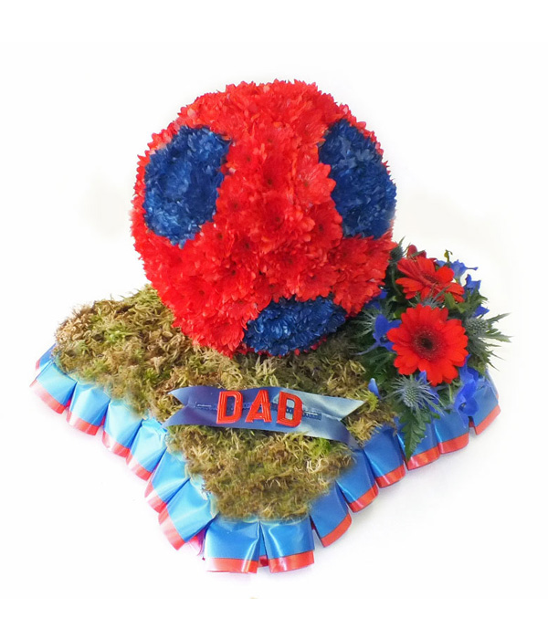 Dad Football  (Special)