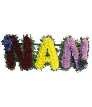 Nan-sym4