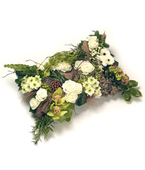 Contemporary Expressions