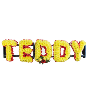 Teddy