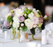 Weddings Events